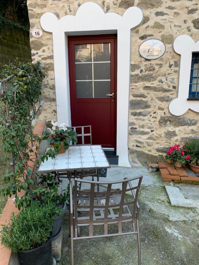 Bed and Breakfast Le Ciappe Castelbianco Terra Citr 9020-Beb-0003 Colletta Zewnętrze zdjęcie